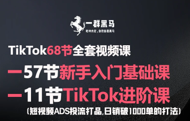 一群黑马跨境-79节TikTok视频课，69节新手入门+10节进阶课25年9月更新