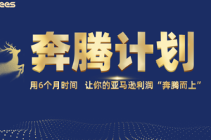 MoonSees奔腾计划亚马逊2025年11月更新(价值88000元)
