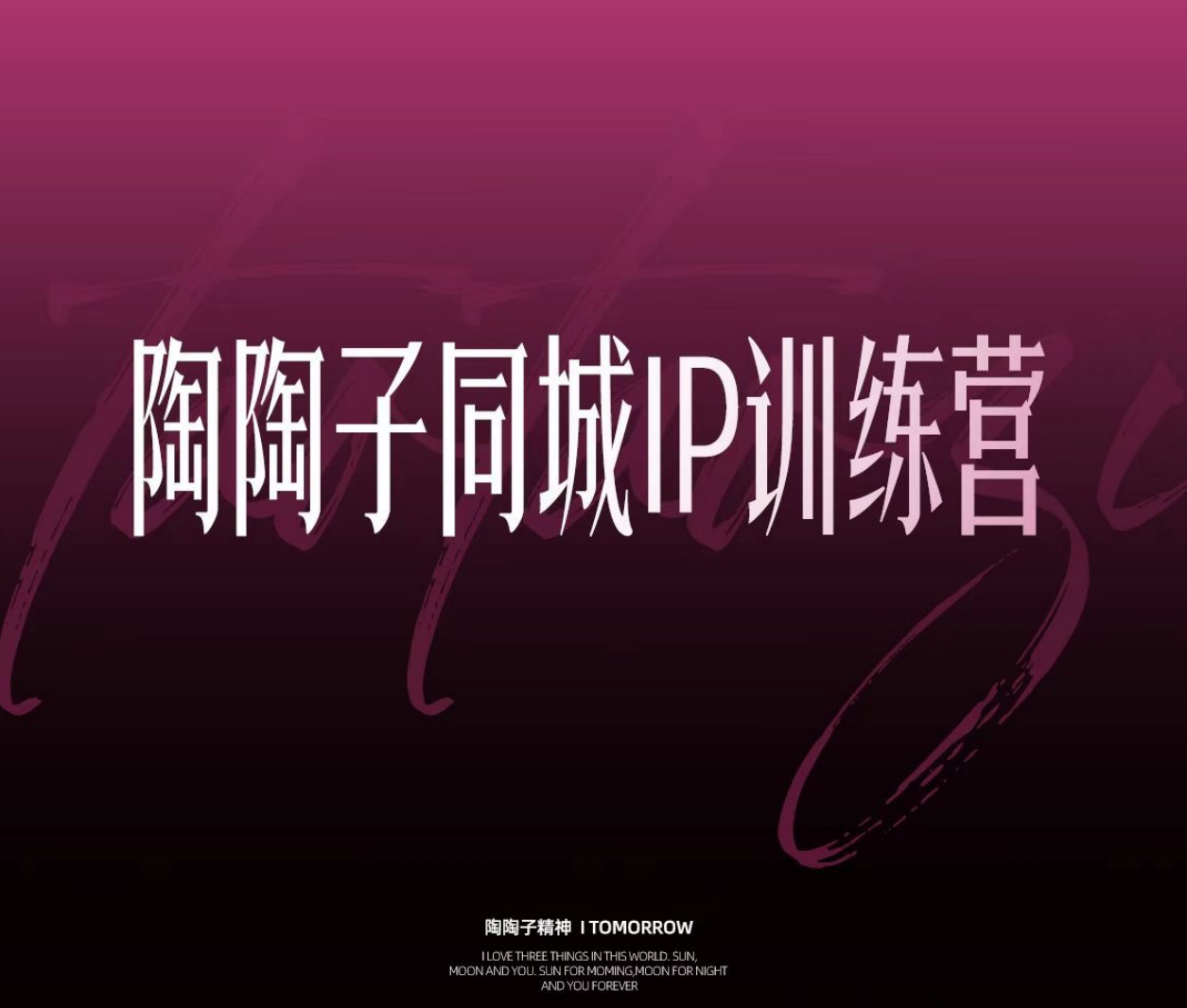 陶陶子-30天同城IP训练营62节完整版杭州2026年(价值12800元)